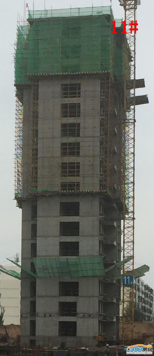 8.1�Mͥ��11#�ǹ����M��