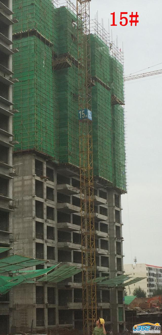 8.1�Mͥ��15#�ǹ����M��