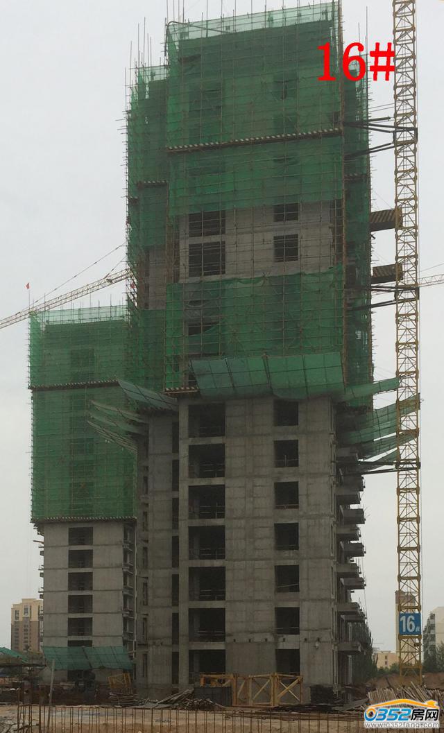 8.1�Mͥ��16#�ǹ����M��