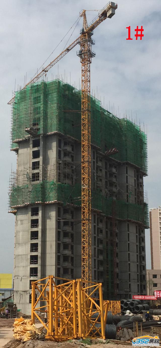 7.29����1#�����M��