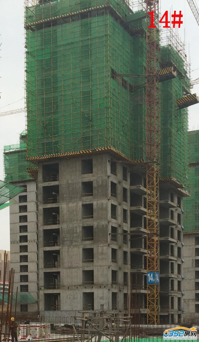 8.1�Mͥ��14#�ǹ����M��