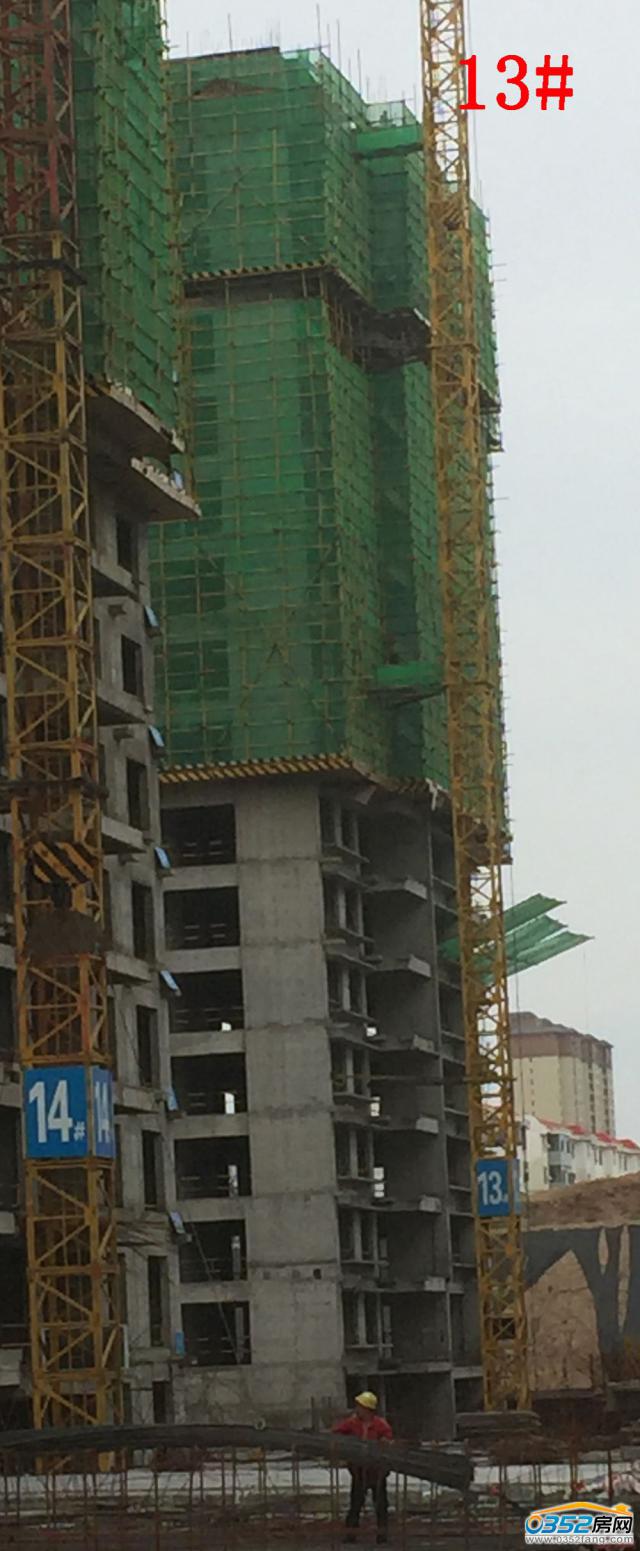 8.1�Mͥ��13#�ǹ����M