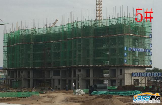 9.1��ǧ��5#�Ǘ��M��