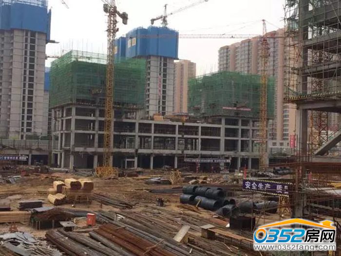 03180807431a71f7c70843.jpg 4.jpg