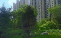 ��@κ�� 2��1�d1�l 90�O