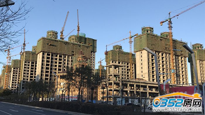 031632081731bad5ed7505.jpg IMG_0155(1).jpg