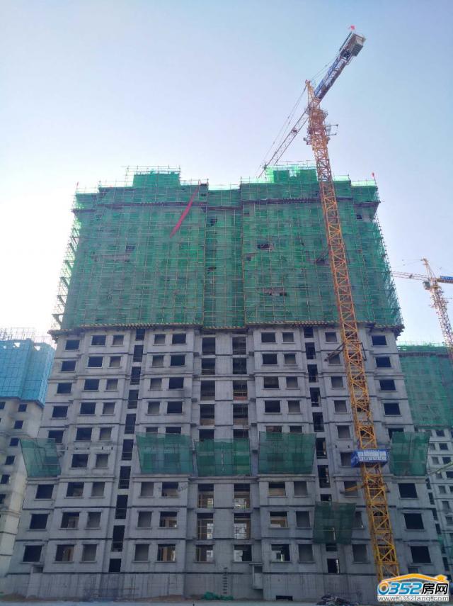 2017.11.24��11#����ʮ�ߌ�