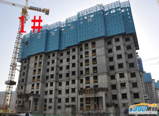 2017.11.24��1#����ʮһ��