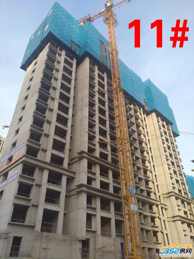 2017.11.30��11#����ʮ�ˌ�