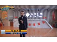 �����V���Ŀ�v��