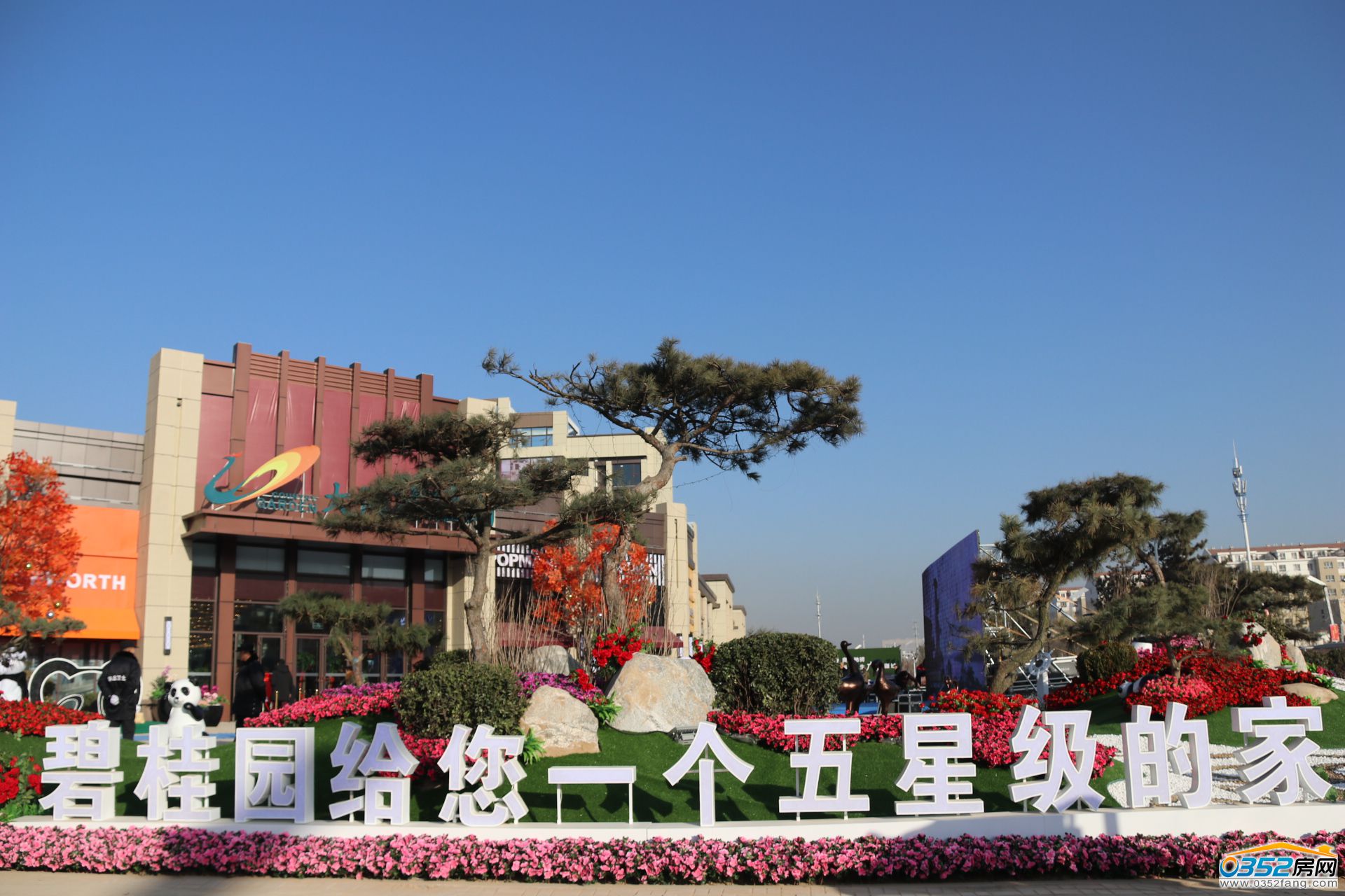 25164203512a6d67155256.jpg 25164203512a6d67155256.jpg