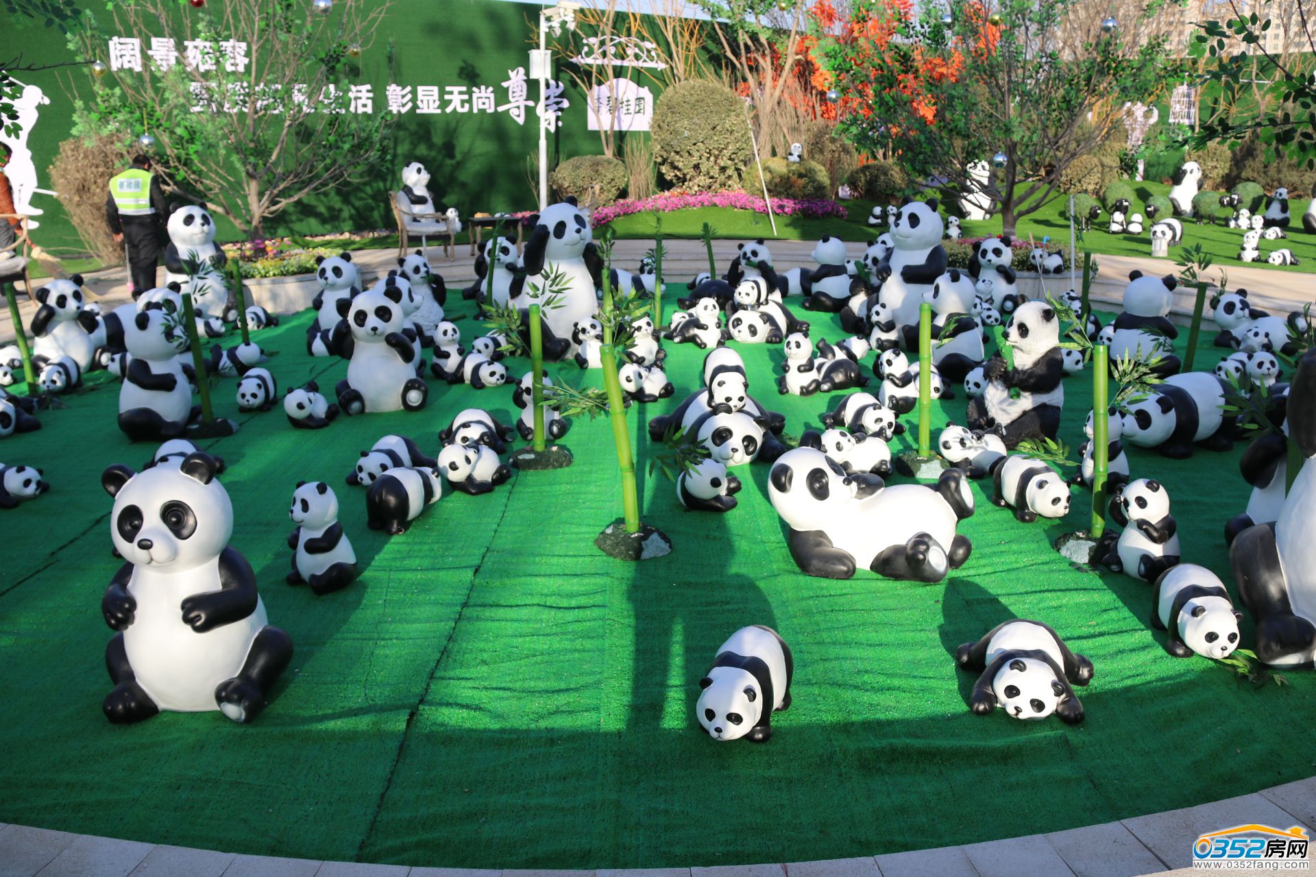 251645359b349a7cf58691.jpg 251645359b349a7cf58691.jpg