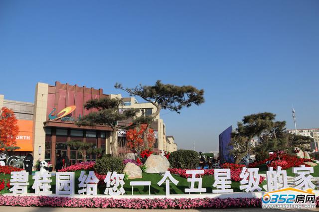 ��ͬ�̹��@�ۘǲ��Tǰ