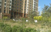 ����@С�^(q��),�����ЌW(xu��)�W(xu��)�^(q��),���ݵ̓r(ji��)����! 2��1�d1�l(w��i) 67�O��t�� �����J��