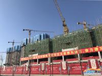 �P�����ҡ��I�3.8�����M��