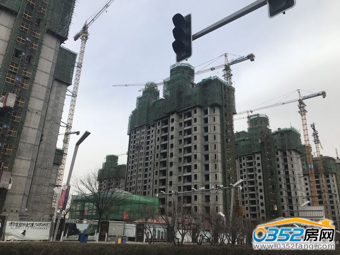 281034165ca64ca38c7930.jpg 5.jpg