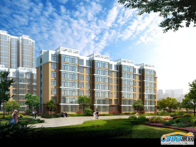 ���\�A���͌�Ч���D