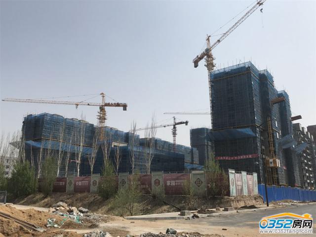 睿和錦城2期4.25工程進度