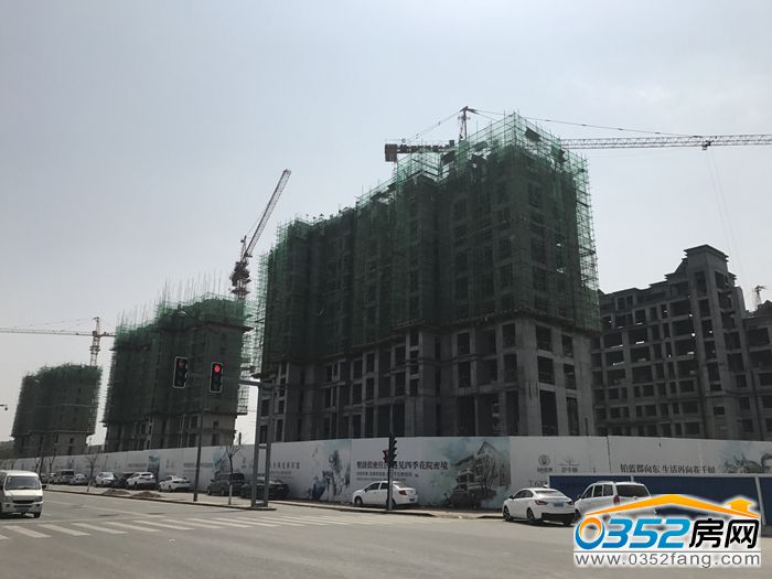 271609338004b8d7507693.jpg 花千樹7.jpg