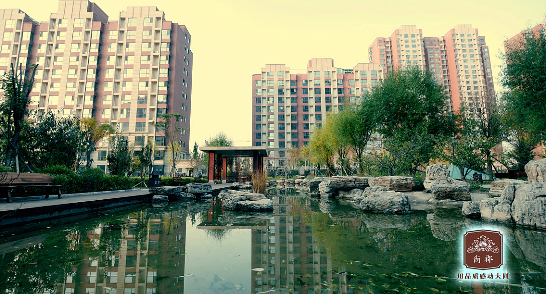 �п�����