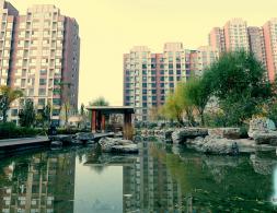 �п�����