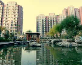 �п�����