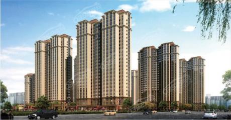 �������wЧ���D