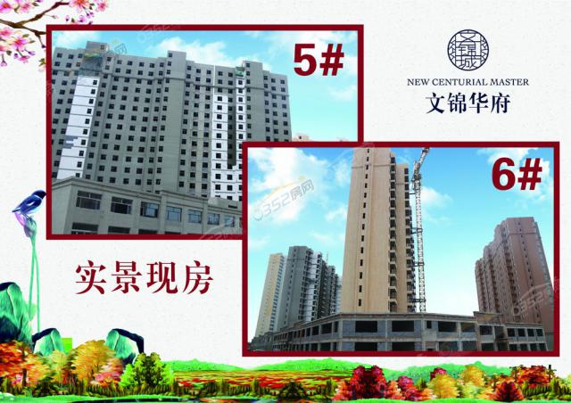 5.17���\�A��5̖�Ǻ�6̖�ǌ�(sh��)��