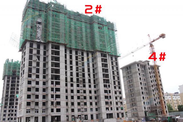 2018.7.9��2#����19��