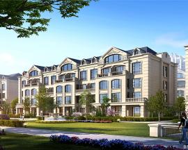 �Ǹۡ�������