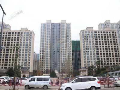 2018.7.20�����M��