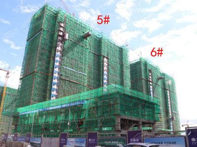 2018��7��25��������5#6#