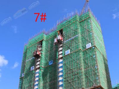 2018��7��25��������7#