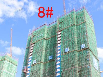 2018��7��25��������8#