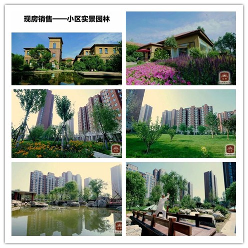 27145614f03f8d3ebb3653.jpg 27145614f03f8d3ebb3653.jpg