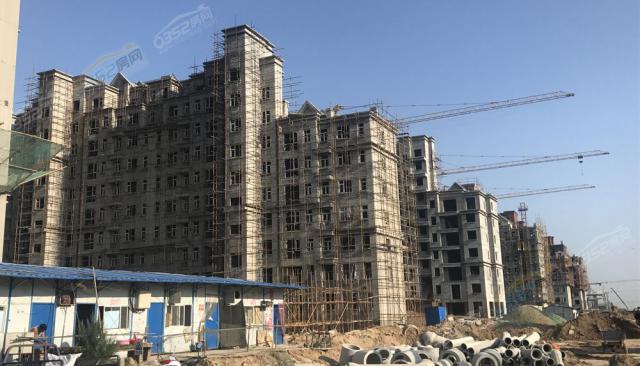 2018.7.30���̌���