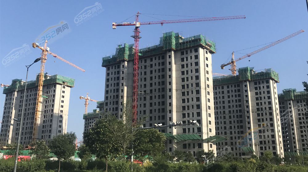 311457401878a680cd1009.jpg 311457401878a680cd1009.jpg