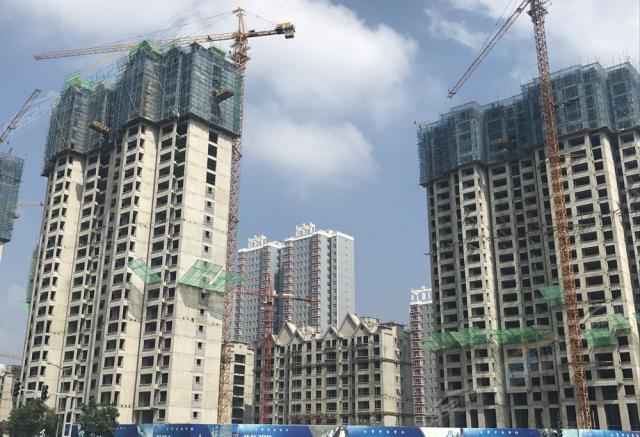 2018.7.31�����M��