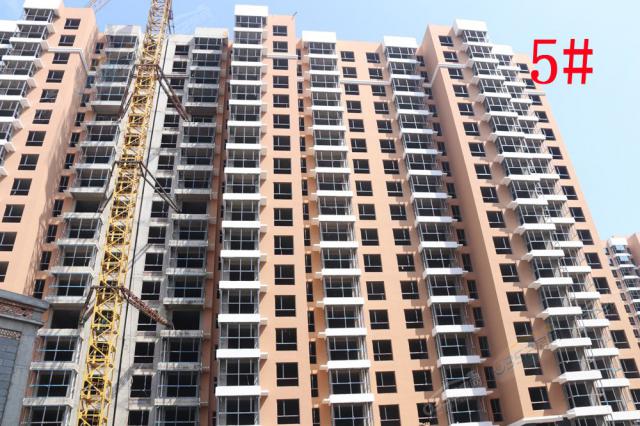 2018.8.14���\�A��5#��