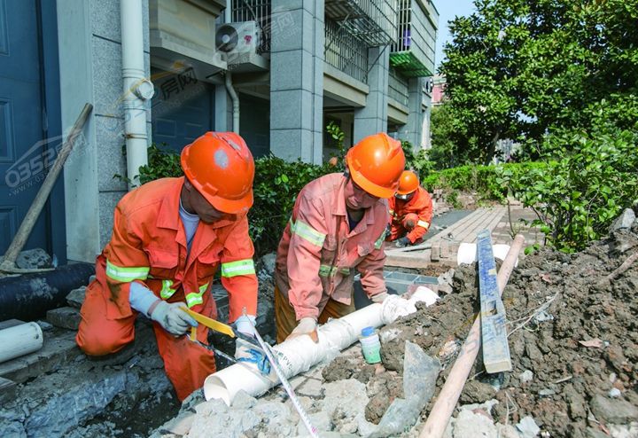 241000385fe83203a61852.jpg 241000385fe83203a61852.jpg