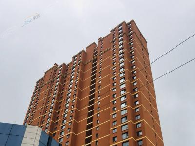 2018.8.30�ǱP�����D