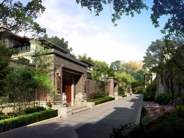 ������gЧ���D