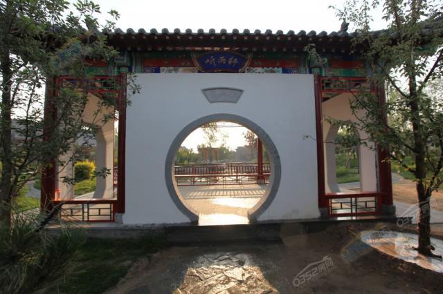 �T�d�����D