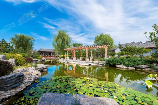 ��߅�����D