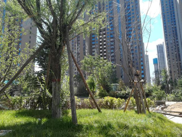 2018.9.7���Ǹ۳�һ�ھG��