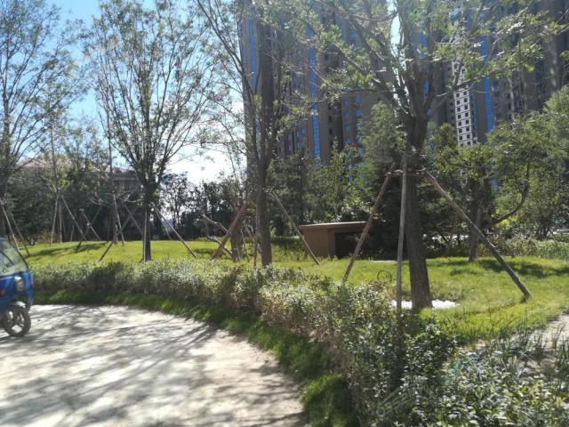 2018.9.7���Ǹ۳�һ�ھG��