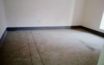 �|�����Ƕ��� 99�O �������� �õض� ë��