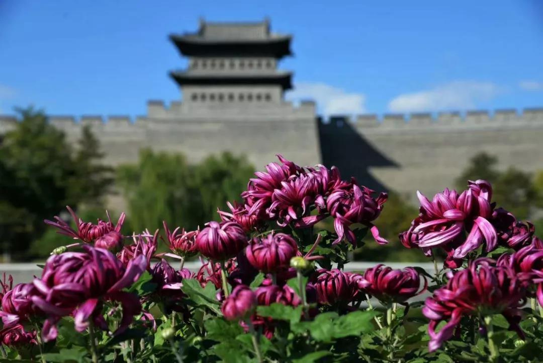 06164940d1fcb18b1b9424.jpg 06164940d1fcb18b1b9424.jpg