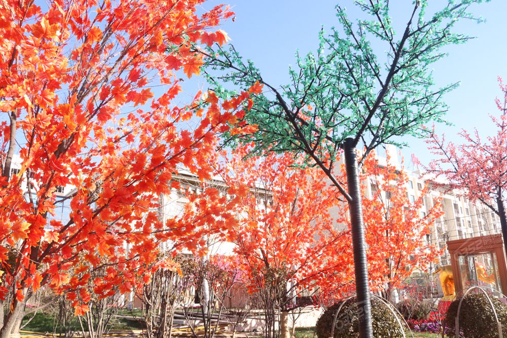 02145928fd7e7093924550.jpg 02145928fd7e7093924550.jpg