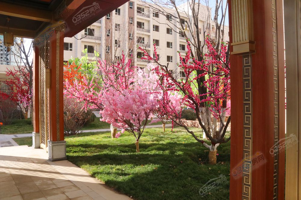 02150433c8f1222ad04310.jpg 02150433c8f1222ad04310.jpg